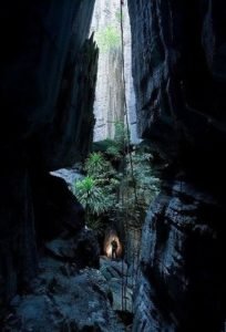 Parc de Bemaraha - Tsingy de Bemahara