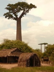 Morondava